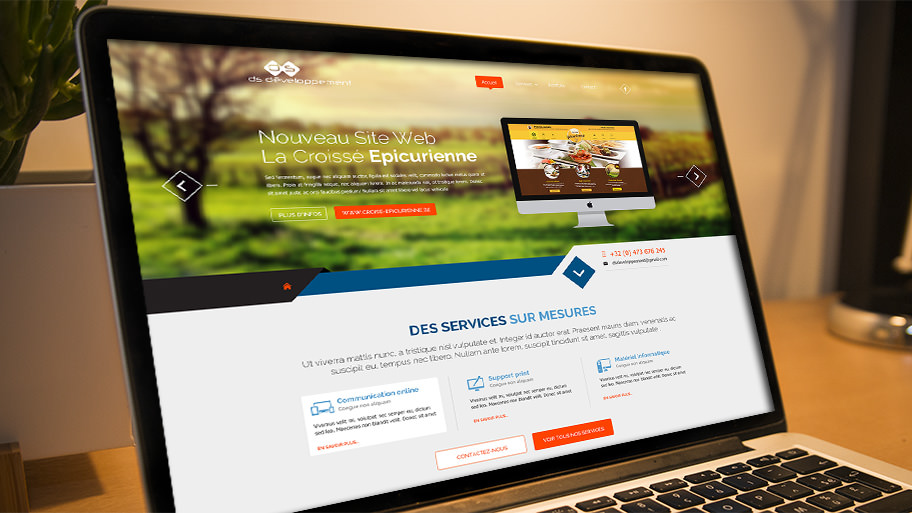 Webdesign du site Internet de la société Ds Développement